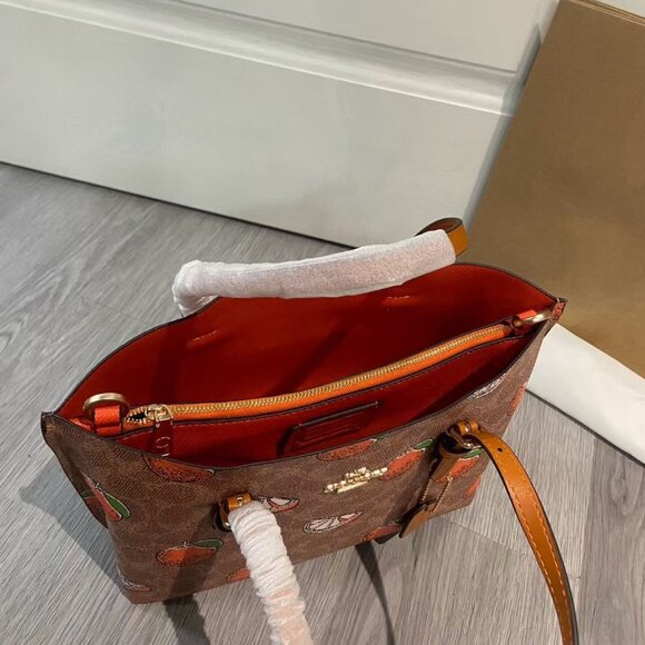 COACH Teri  Bag, Size 25cm - Picture 5 of 9